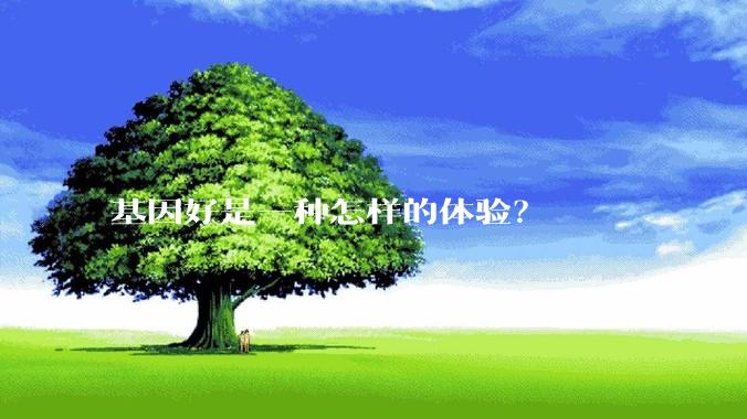 基因好是一种怎样的体验？
