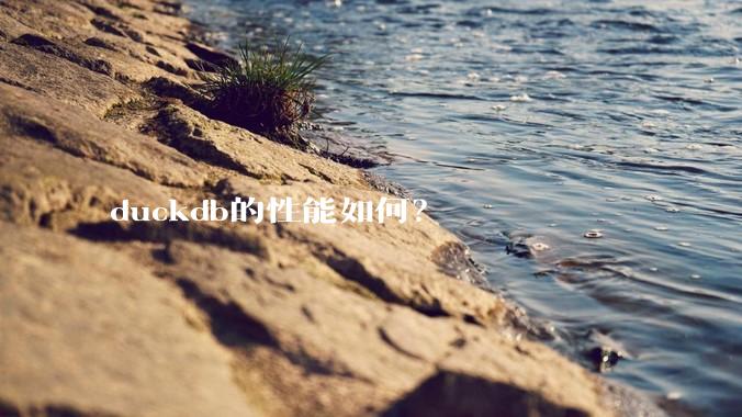 duckdb的性能如何？