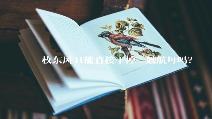 一枚东风41能直接干掉一艘航母吗？