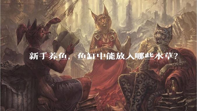 新手养鱼，鱼缸中能放入哪些水草？